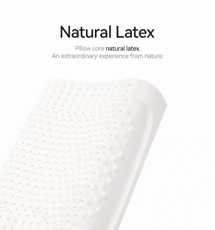 Anti Mite Massage Pillow